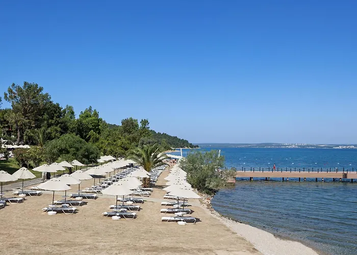 Aurum Exclusive Club 5* Didim